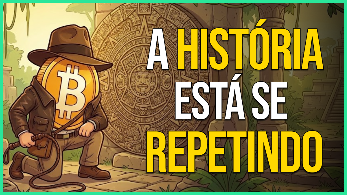 Feed - Paradigma Education