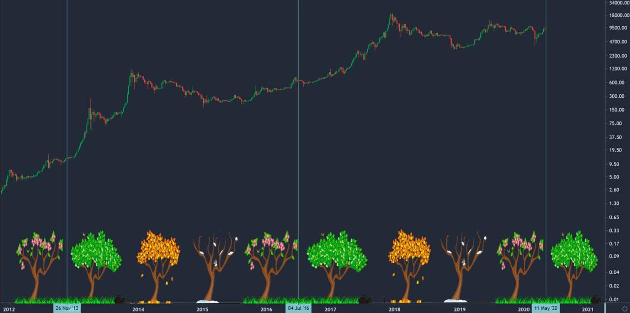 Feed: 🍂 Um Beabá Dos Ciclos do Bitcoin - Paradigma Education
